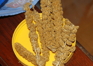 ca92f0_f675996844dbc6fd1faf6d52b728a190